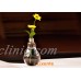 Little Transparent Stand Light Bulb Plant Flower Glass Vase Hydroponic Container   112002841733